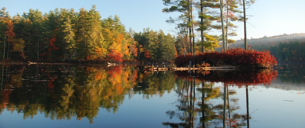 Autumn Light and a Timeless&nbsp;Soul